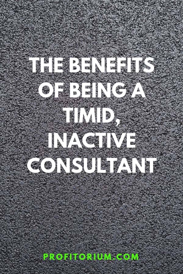 The Benefits of Being an Inactive, Timid Consultant 5 The Benefits of Being a Timid, Inactive Consultant - Profitorium #freelance #consulting #consultant #freelancer