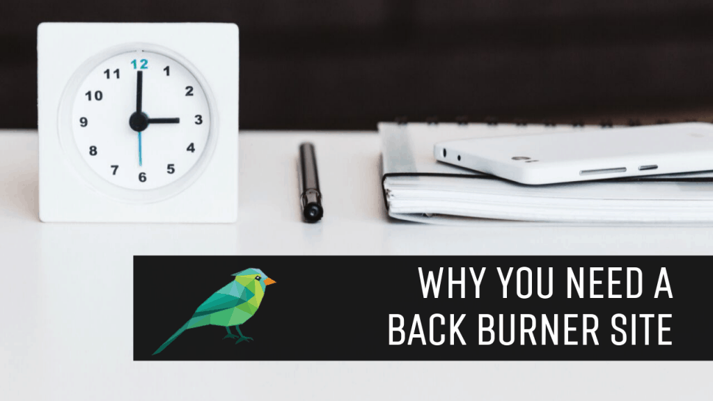 Why Serious Bloggers Should Have a Back Burner Site