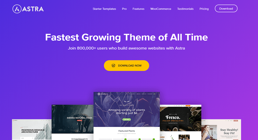 astra wordpress theme